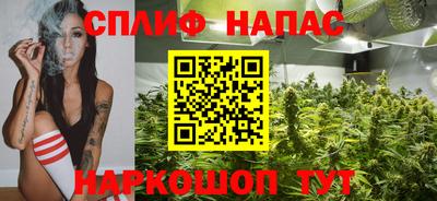 гашик Донской