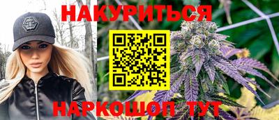 гашик Донской