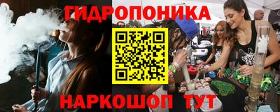гашик Донской