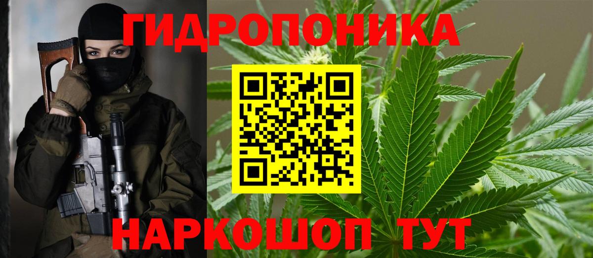 Ленинск-Кузнецкий  Канабис THC 21%  Вход с VPN  Каннабис White Widow  Марихуана семена 